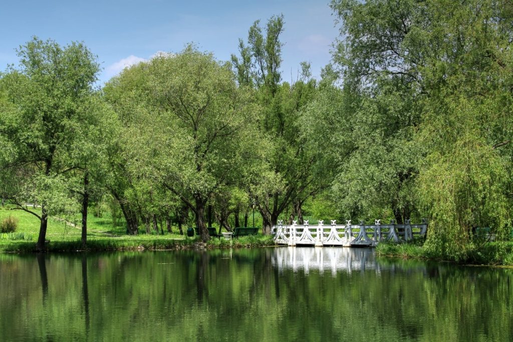 Nou proiect USM: Grădina Botanică din Chișinău va avea un Centru modern pentru Vizitatori