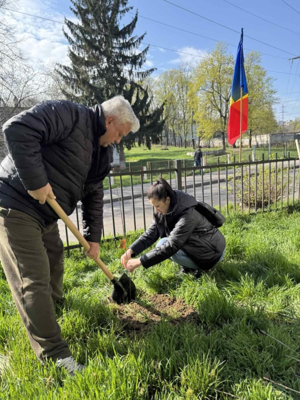 USM înfrumusețează campusul cu 70 de stejari ai Unirii