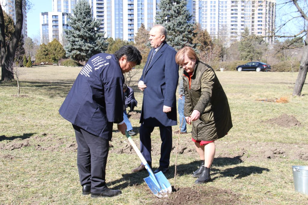 Peste 50 de puieți de sakura „Yoko” au fost plantați la Grădina Botanică a Universității de Stat din Moldova