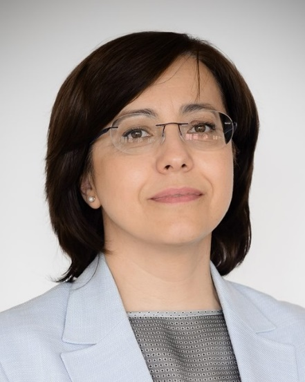 AVIZ  privind examinarea lucrării de sinteză, elaborată în baza lucrărilor publicate, pentru obținerea titlului de doctor habilitat în istorie