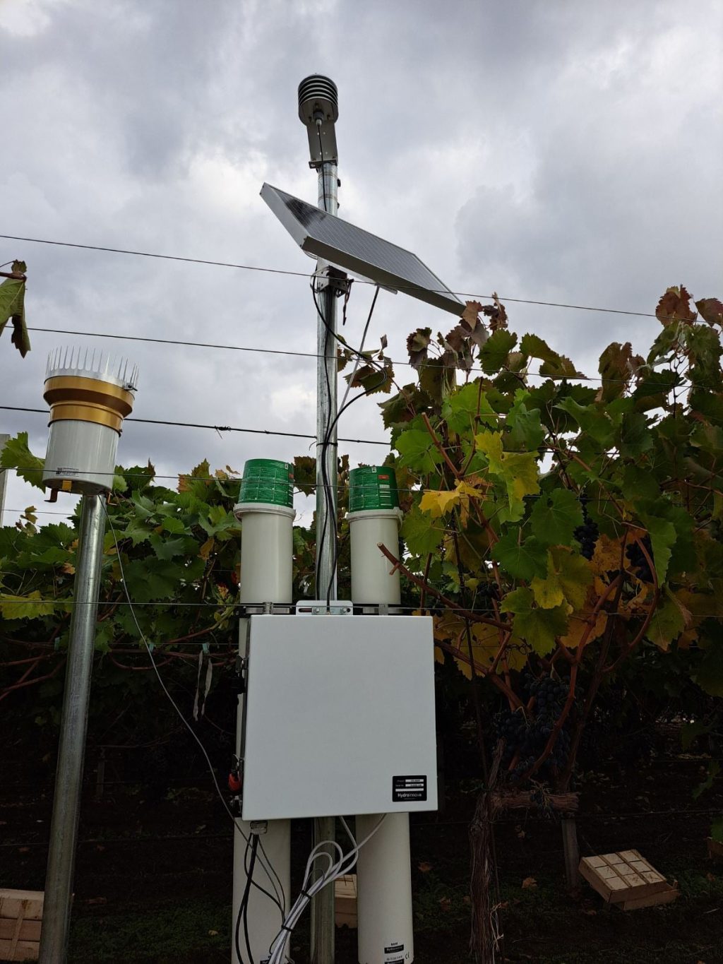 Sistemul CRNS pentru monitorizarea umidității solului – o nouă dotare a Institutului de Ecologie și Geografie al Universității de Stat din Moldova, oferită de Agenția Internațională de Energie Atomică