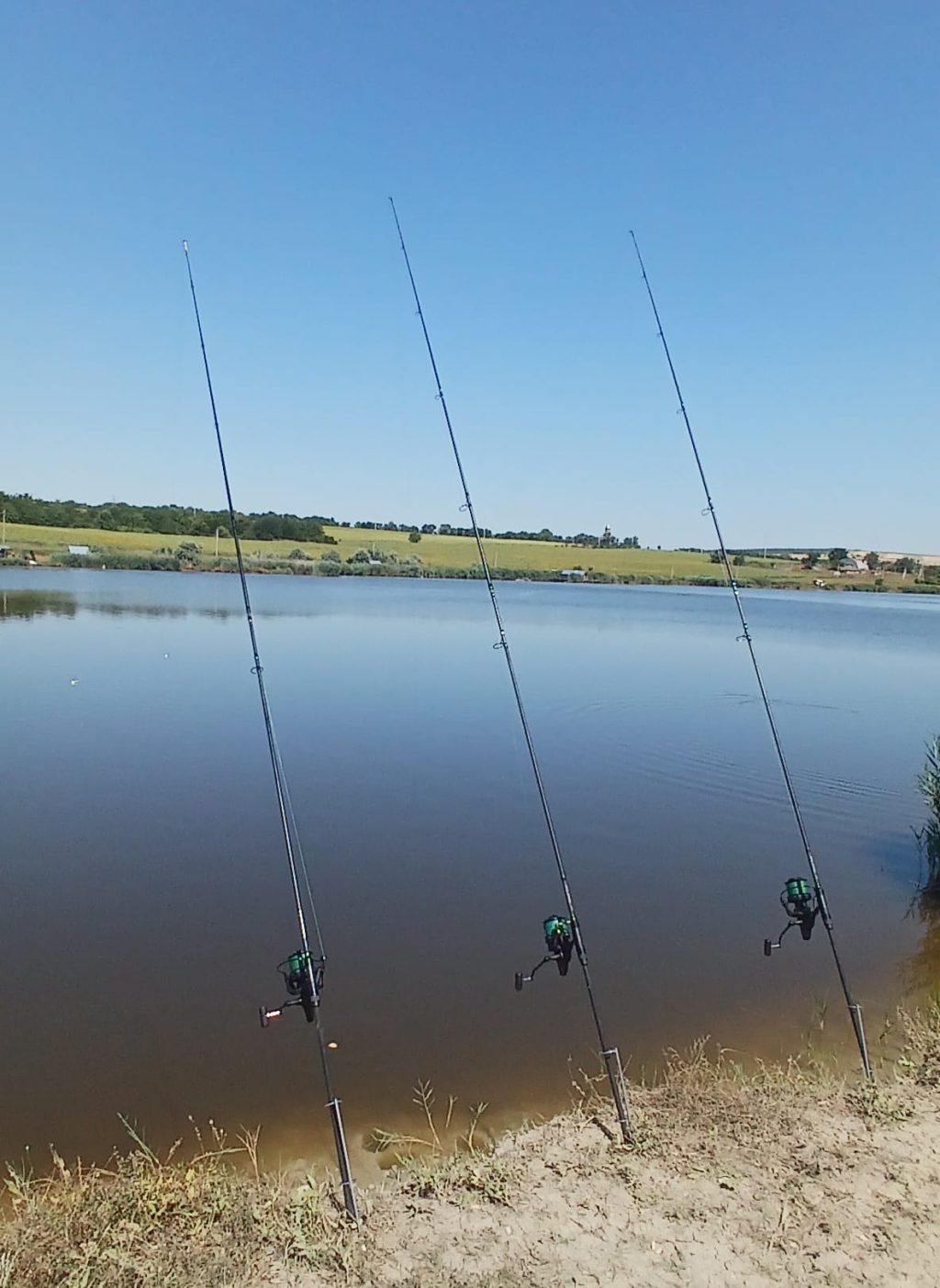 Vizită de lucru în cadrul proiectului Algae4FishRo-Md