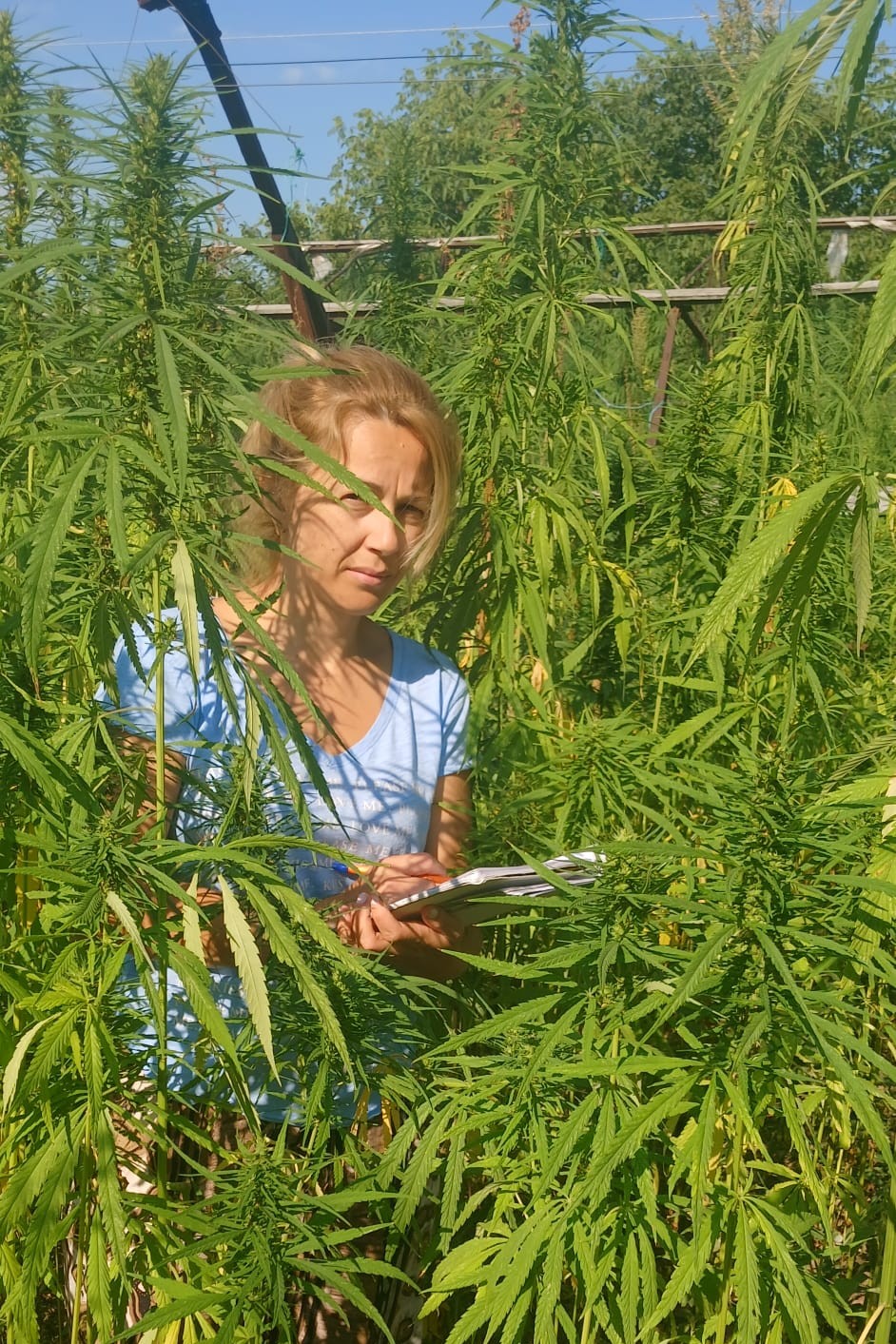 Un nou succes al cercetării aplicative la USM: rezultate vizibile în implementarea unui proiect de transfer tehnologic