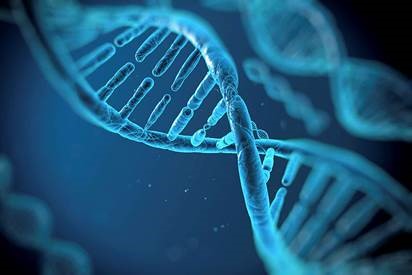 AL XI-LEA CONGRES INTERNAȚIONAL AL GENETICIENILOR ŞI AMELIORATORILOR